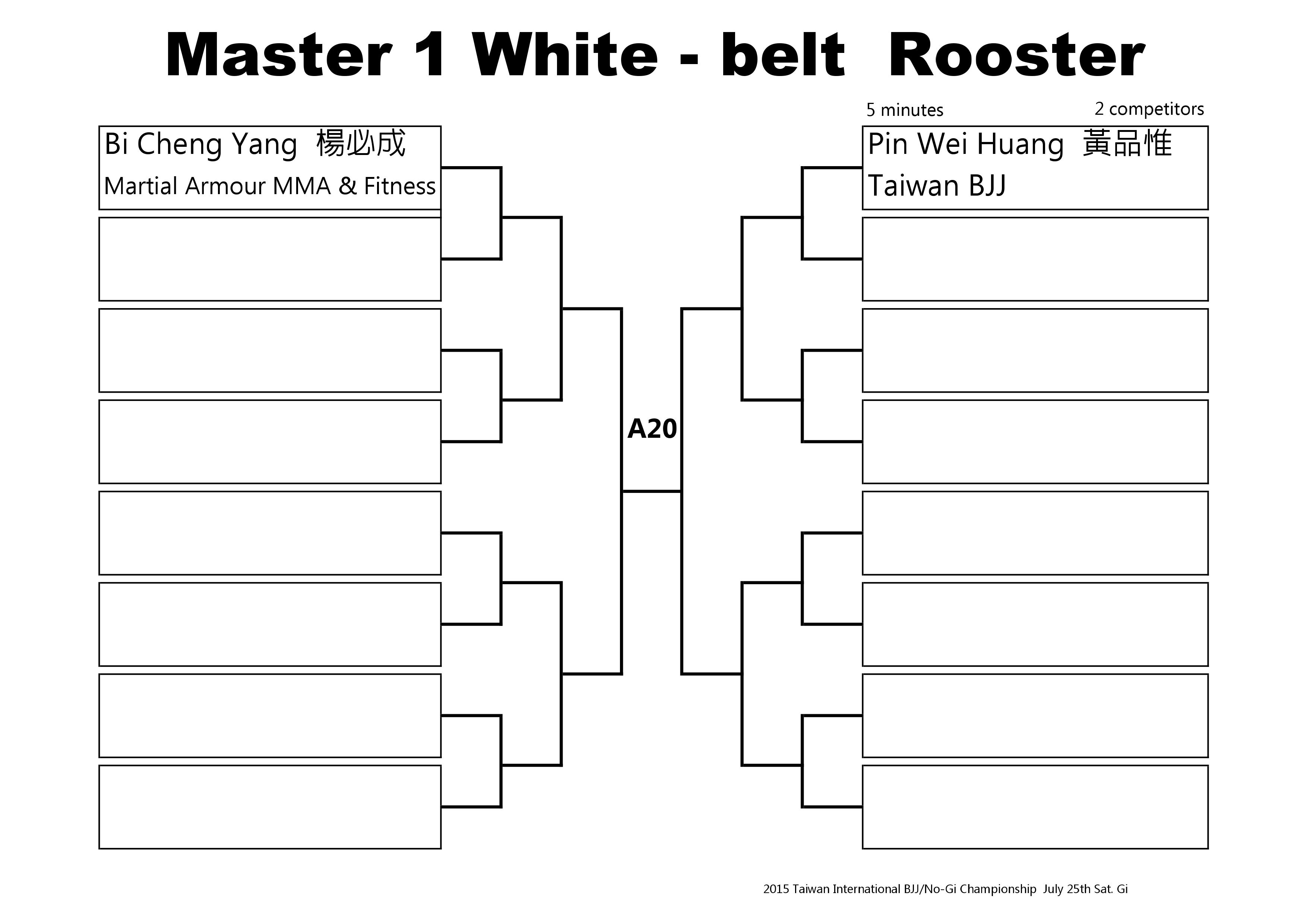 Bracket 1 White Master 2015-0004