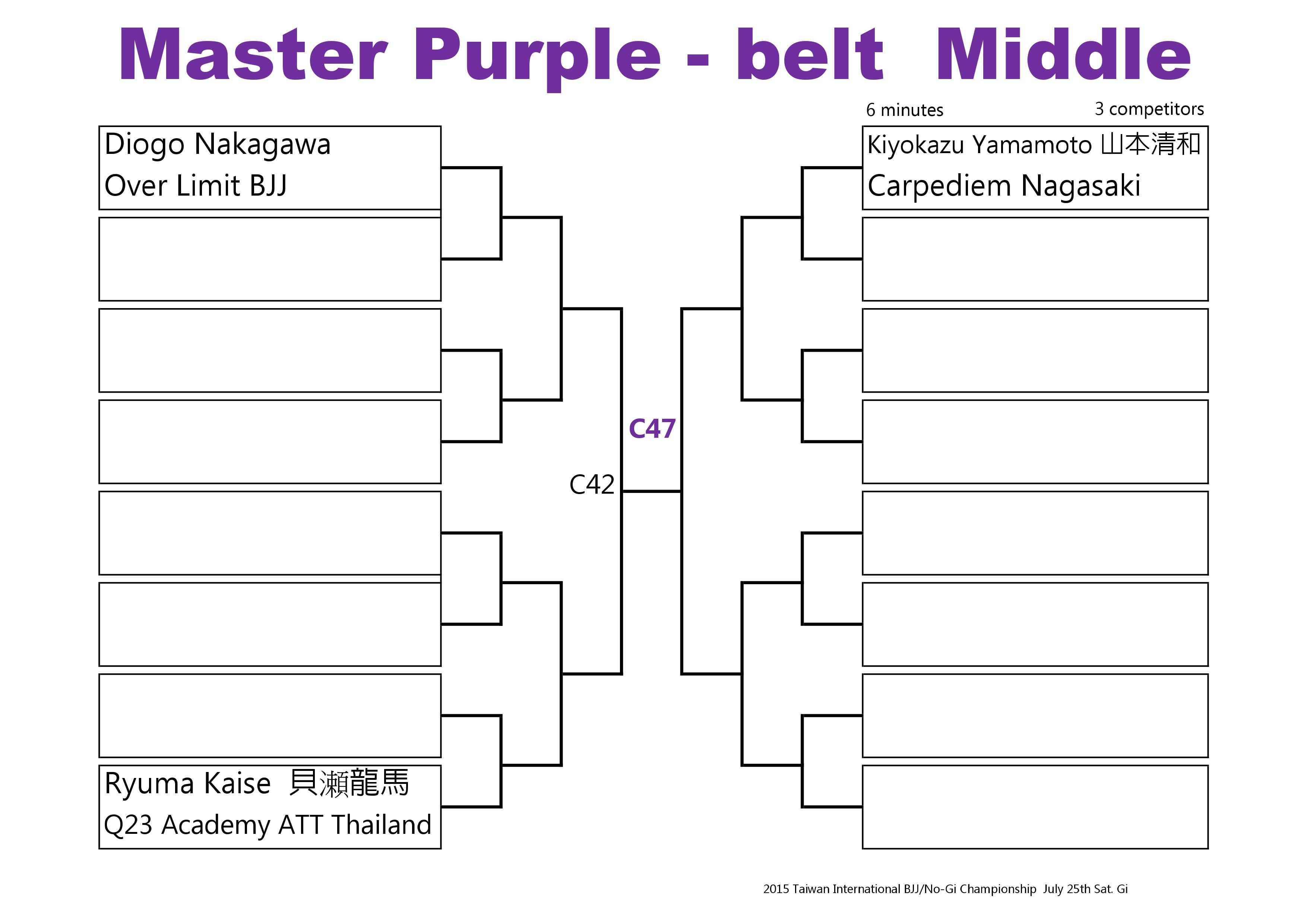 Bracket 3 Purple Master 2015-0003